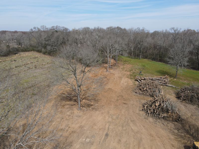 Land Clearing