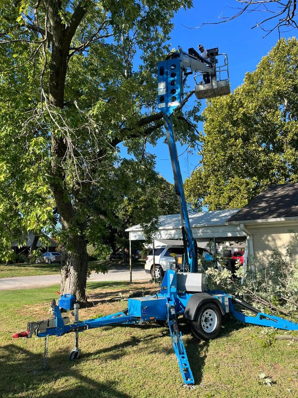 Tree Trimming