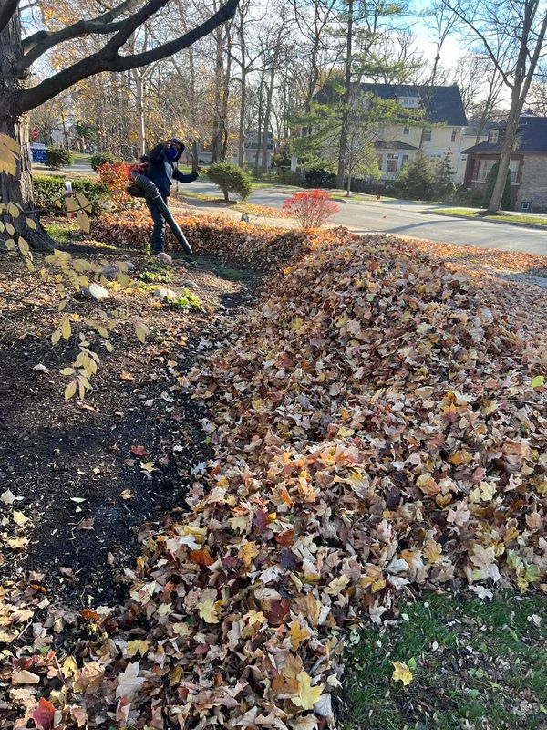 Fall Clean Up