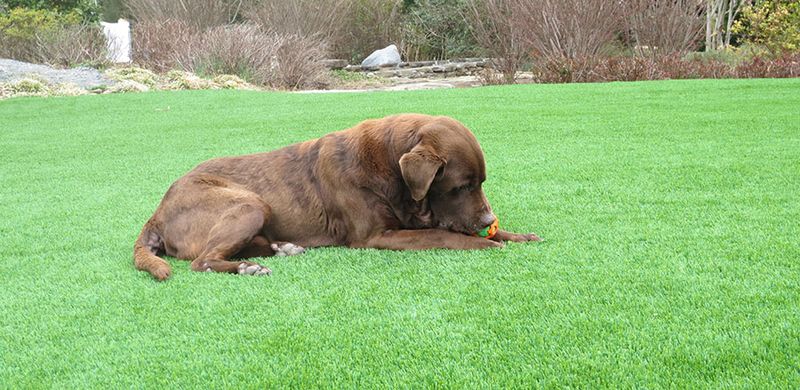 Landscape Lighting and Artificial Turf