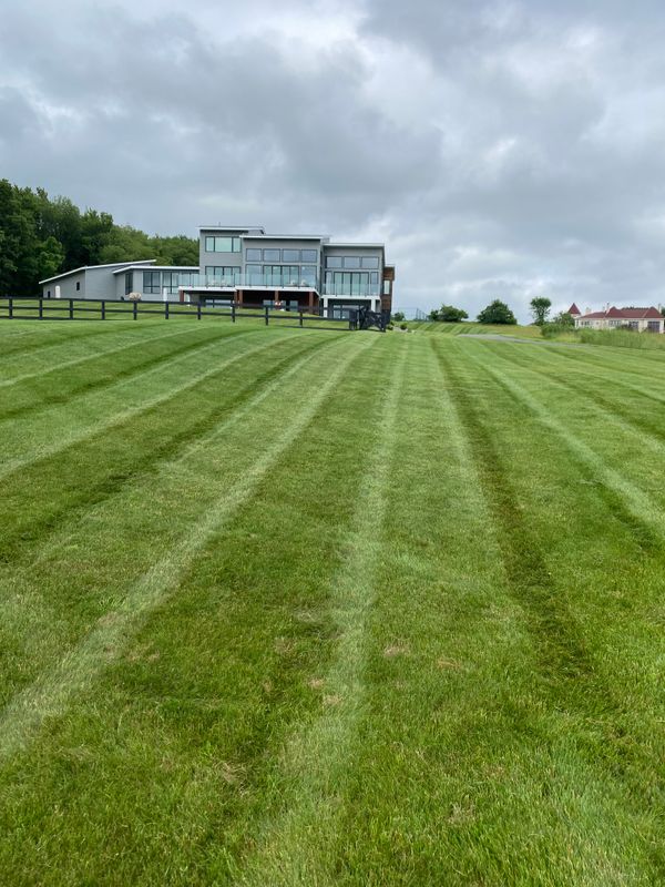Mowing