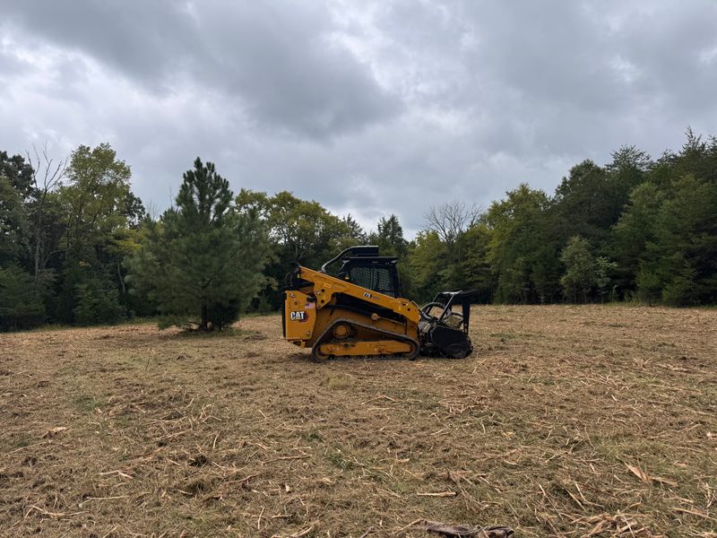 Forestry Mulching