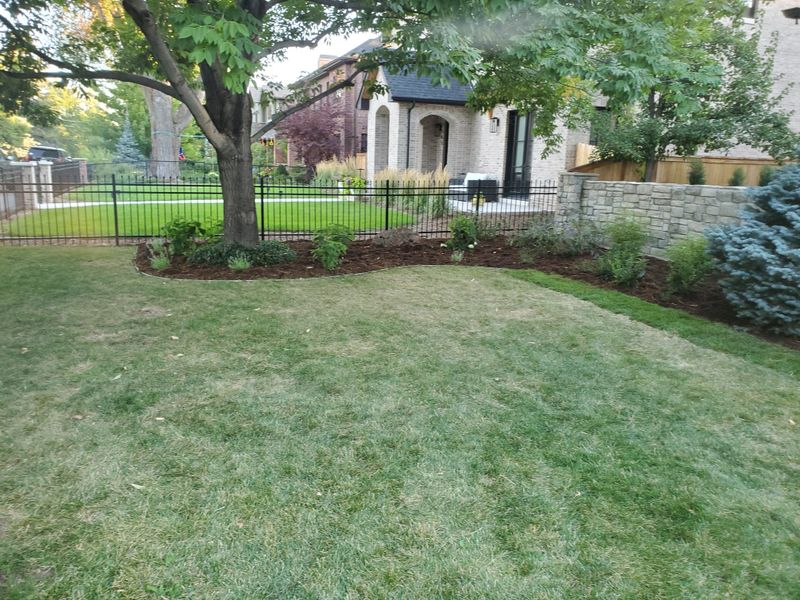Mulch Installation