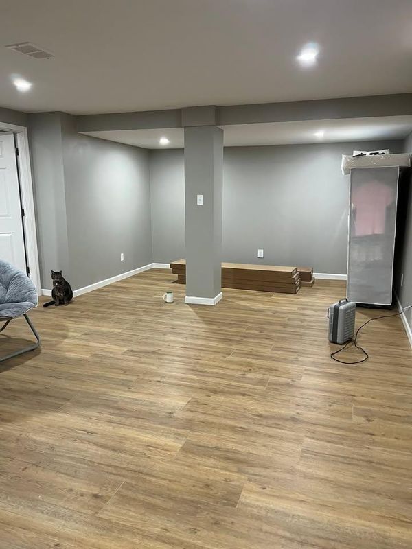 Basement Renovation