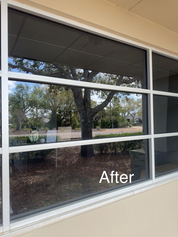 Commercial Window Cleaning