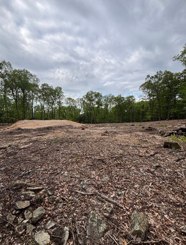 Forestry Mulching