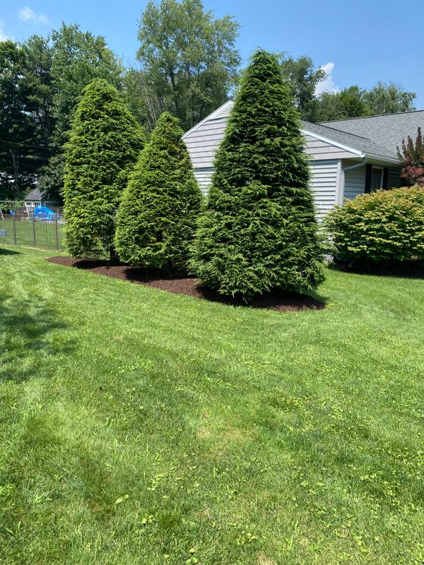Mulching