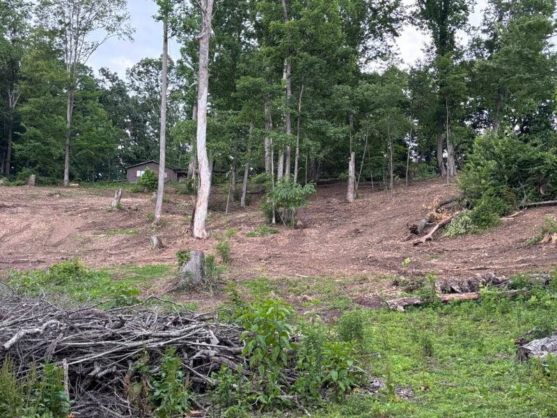 Forestry Mulching