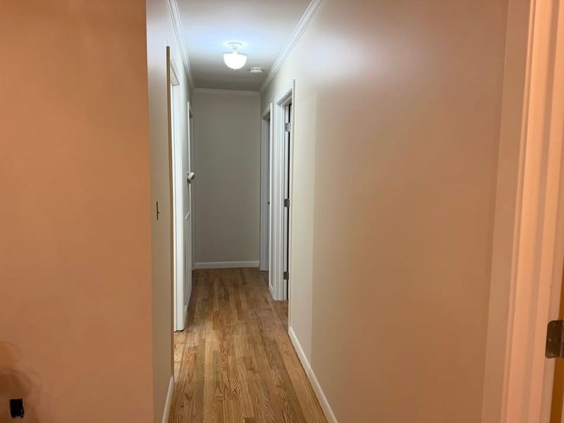 Interior Painting