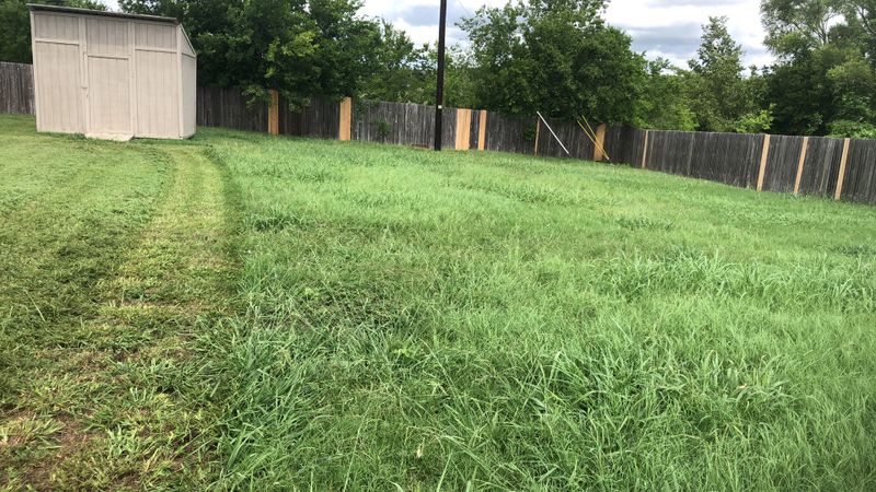 Lawncare