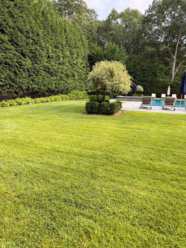 Garden Maintenance