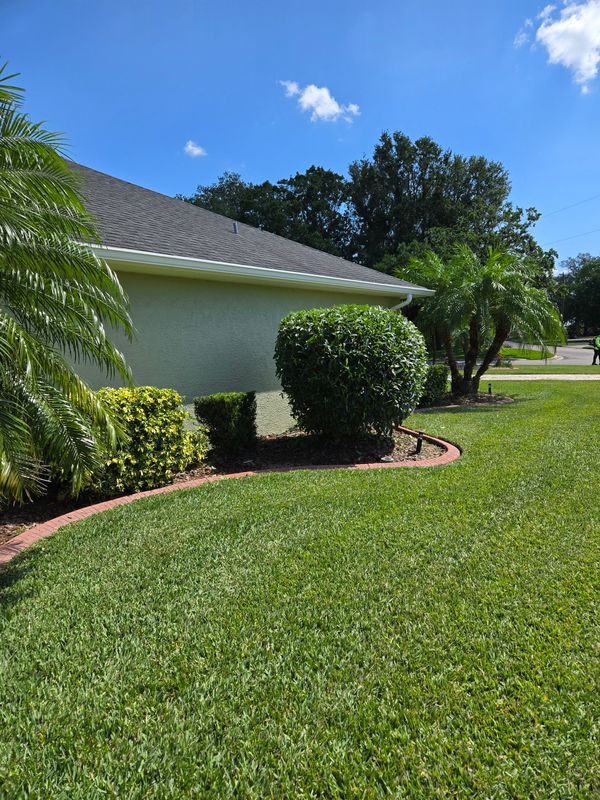 Lawn Care & Maintenance