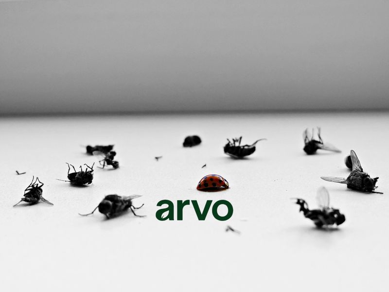 General Pest Control