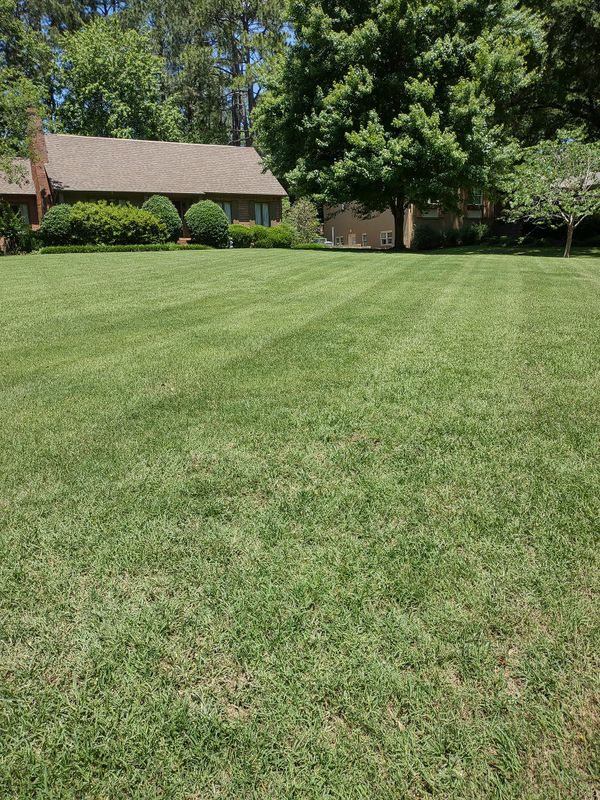 Mowing