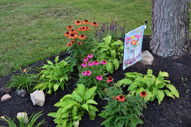 Mulch Installation