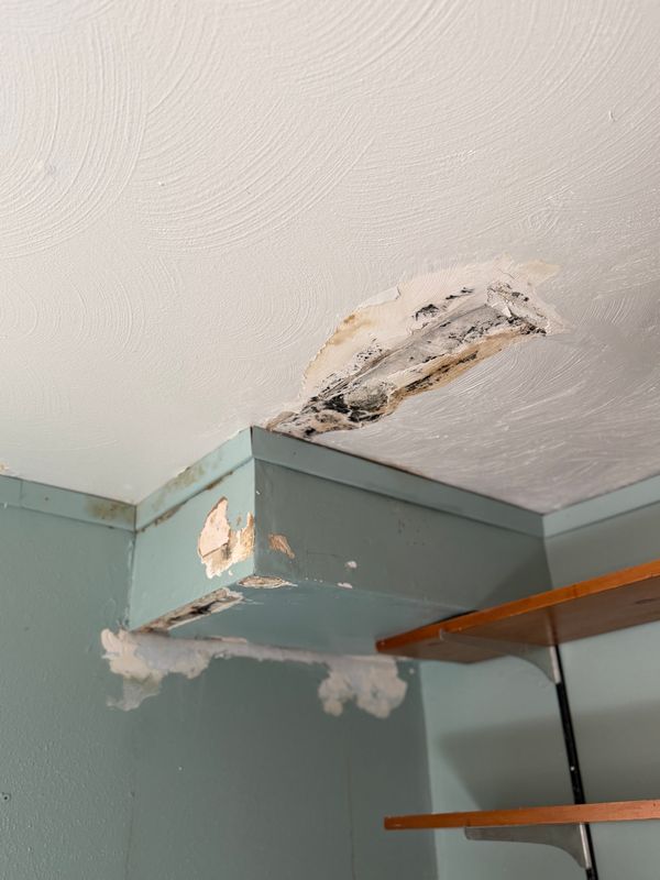 Water-Damaged Drywall & Ceiling Restoration