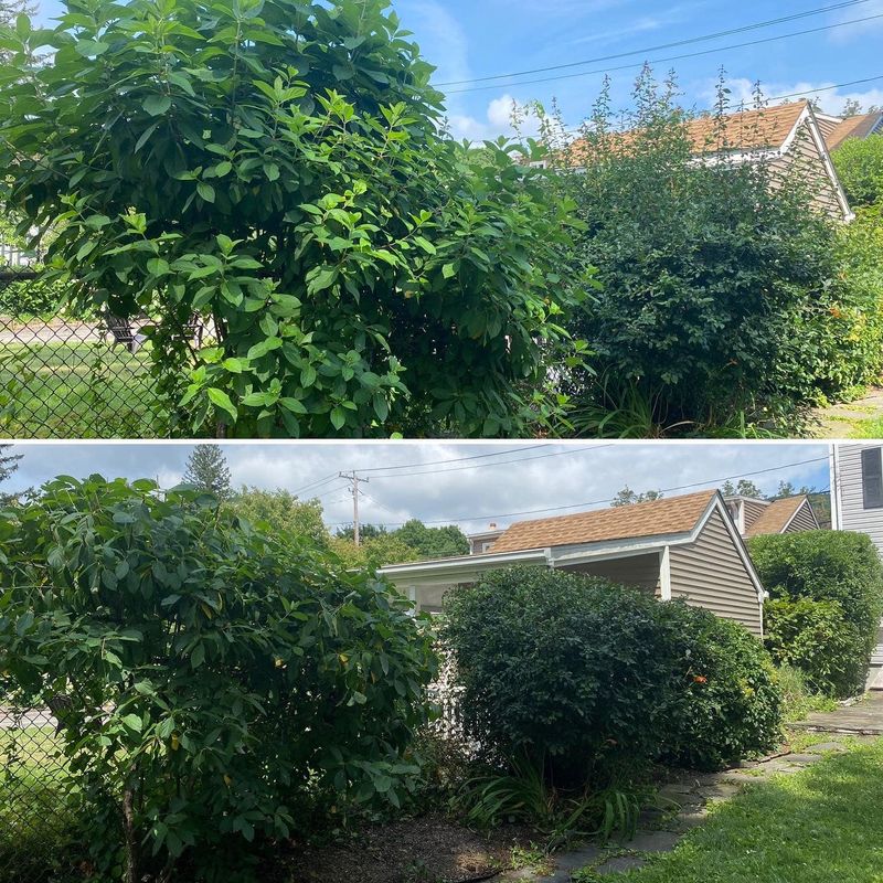 Landscaping