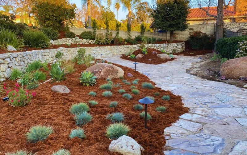 Landscape Design
