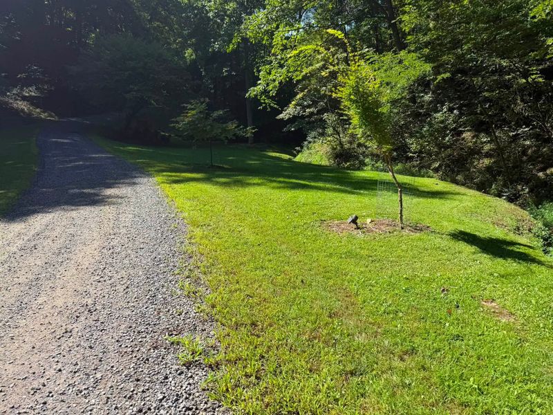 Lawn Maintenance