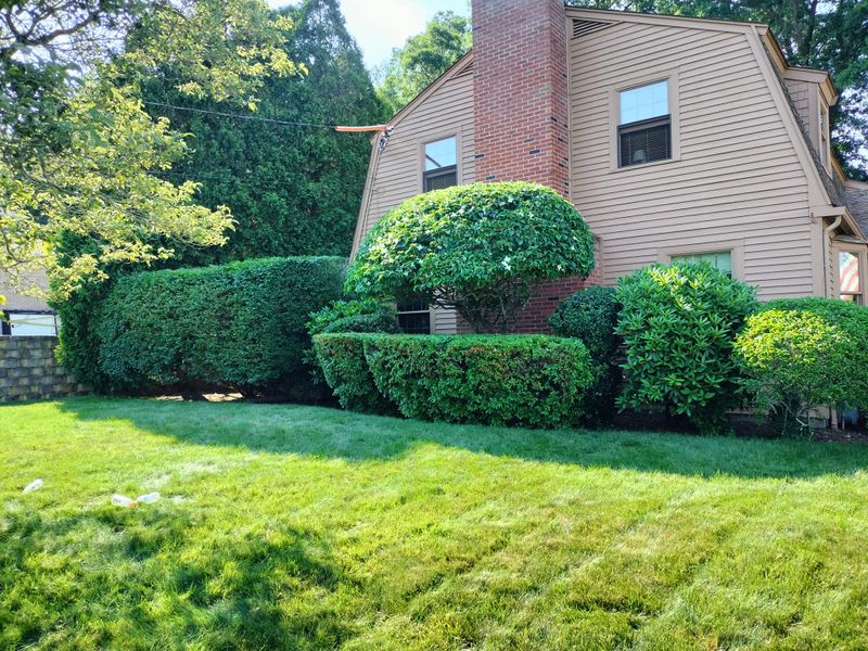 Landscaping gallery