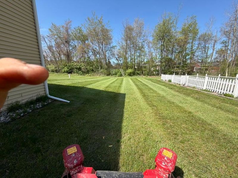 Beautiful Lawns