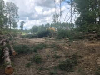 Land Clearing