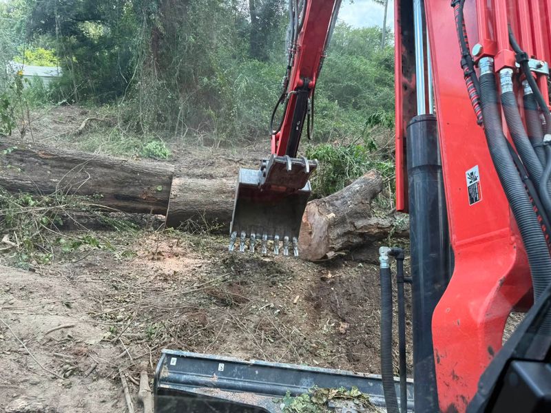 Land Clearing