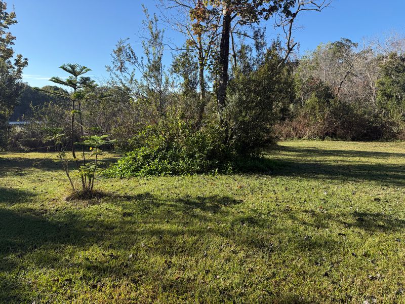 Land Clearing