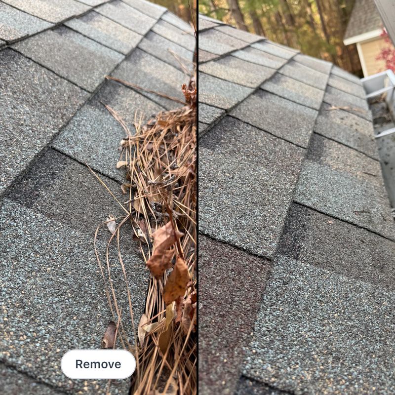 Gutter Cleaning 