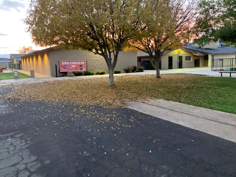 Fall Clean Up
