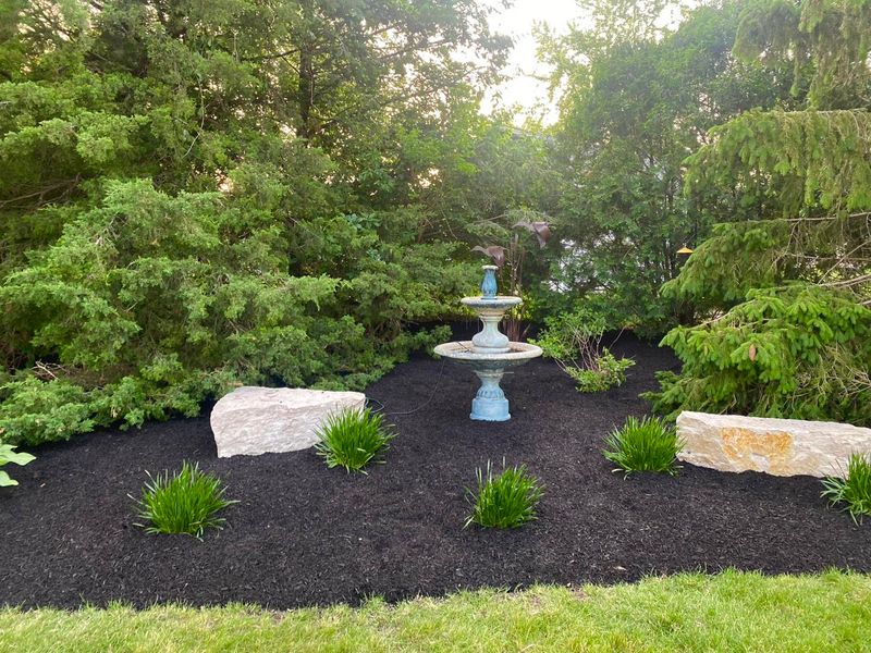 lawncare and landscaping