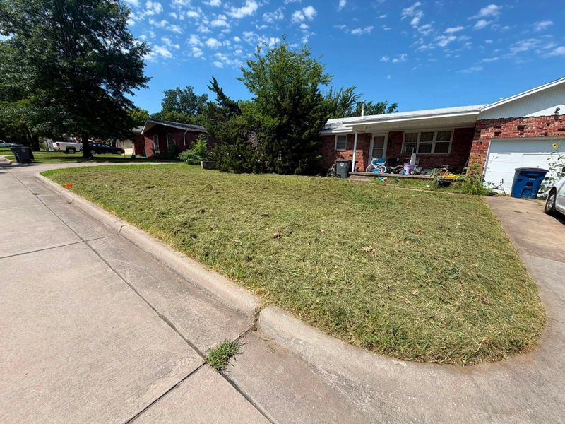 Lawn Maintenance