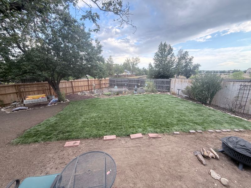 Lawn Maintenance