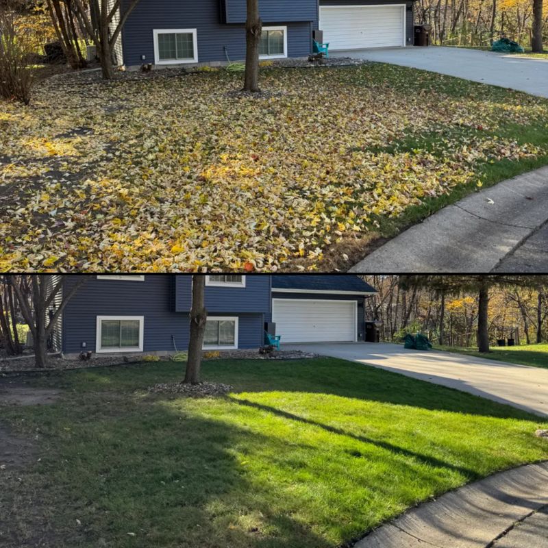 Fall Cleanup