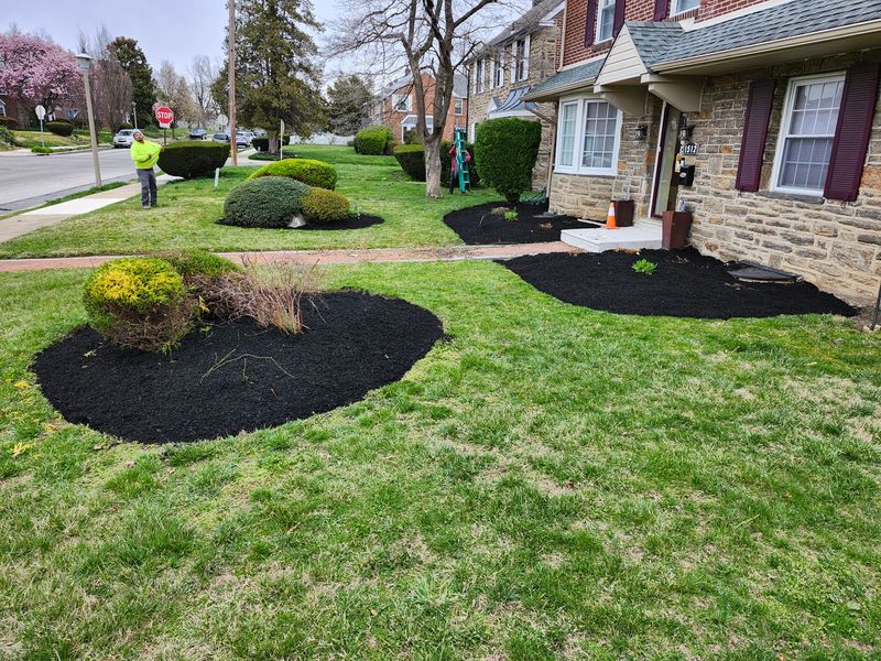 Lawn Care
