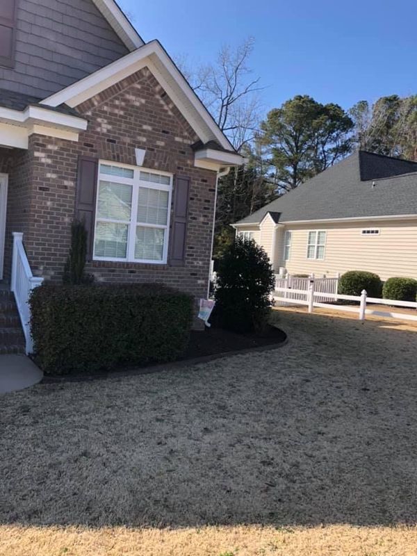 trimming shrubs/small trees