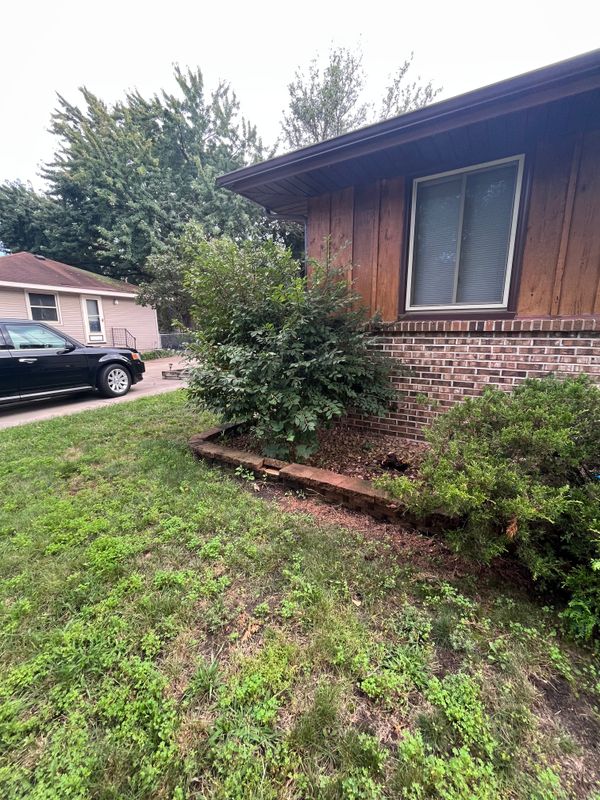 Shrub Trimming