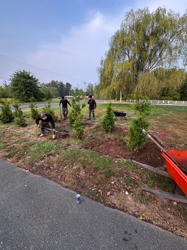 Tree & Perennial Planting