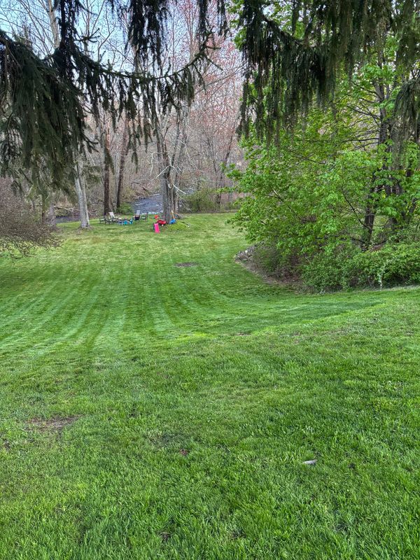Lawn Maintenance