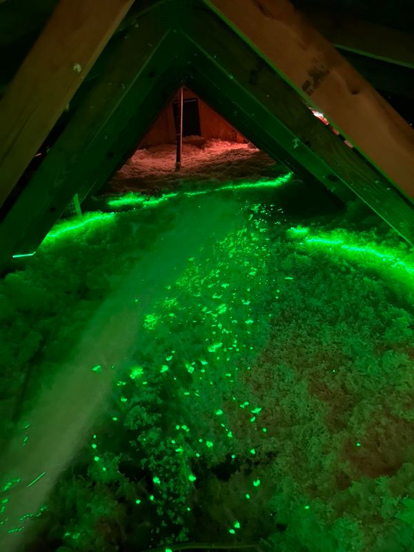 Crawl Space Maintenance