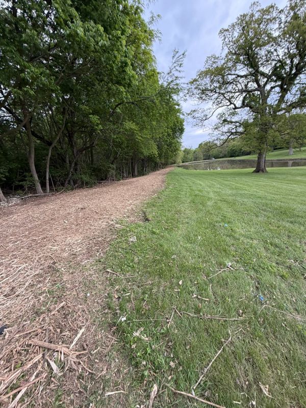 Forestry Mulching