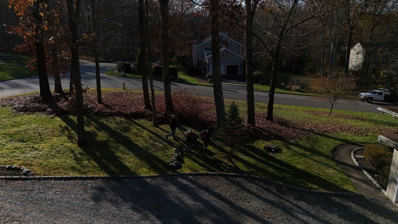 Spring & Fall Clean ups