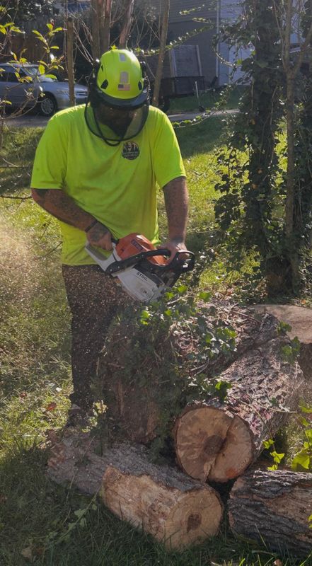 Tree Removal