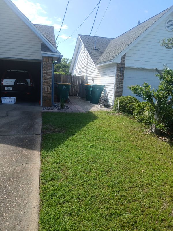 Tree & Shrub Care