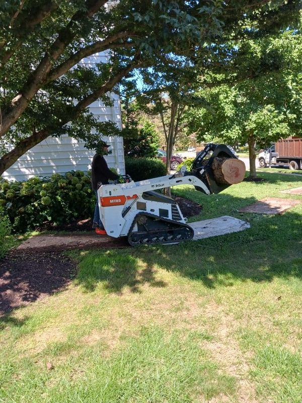 Tree Trimming and Removal