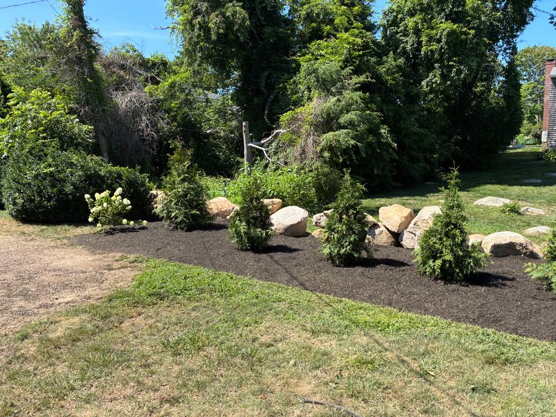 Shrub Trimming