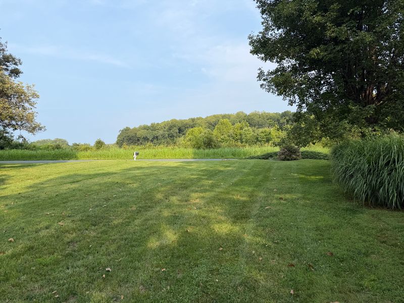 Lawn Maintenance