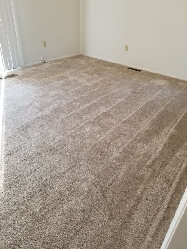 Carpet Cleaning