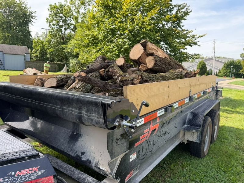 14' Dump Trailer Delivery Service
