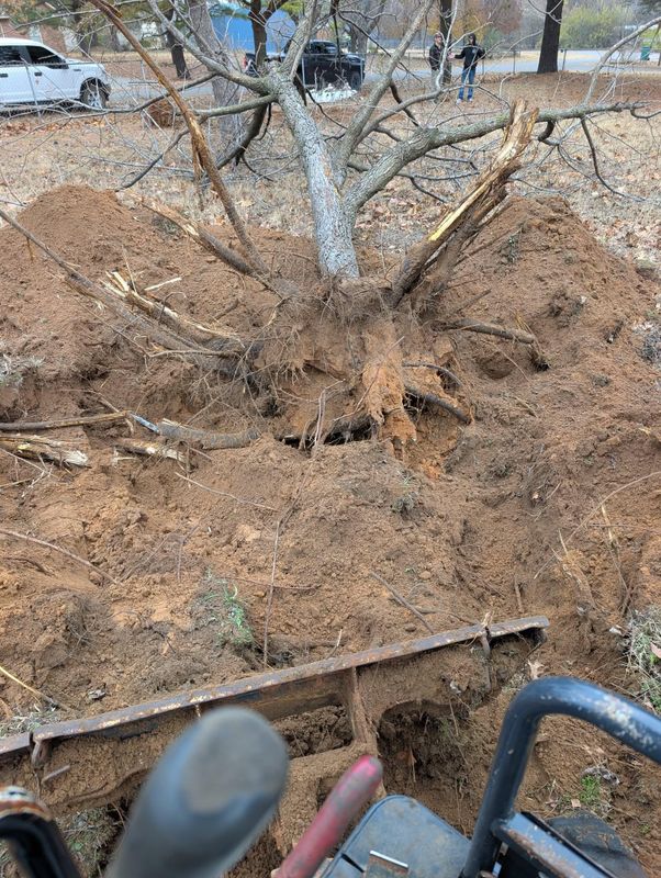 Land Clearing & Demolition